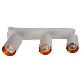 BR08088 Потолочный светильник-спот ARAS