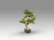 Bankan - bonsai 75cm Искусственное растение 