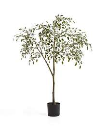 Искусственный фикус Benjamina в черном горшке, 180 см