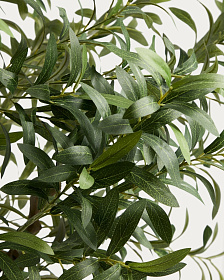Искусственное дерево Artificial Olive в белом горшке, 210 см