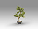 Bankan - bonsai 75cm Искусственное растение 