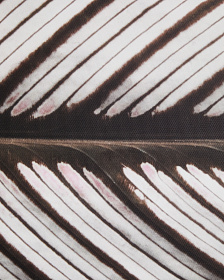 Фотография листа Foliae размер 52,5 x 62,5 см