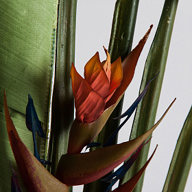 Растение искусственное PARADISE