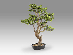 Sokan - bonsai 81cm Искусственное растение из 2 предметов