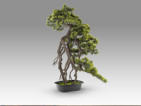 Kengai bonsai 74см Искусственное растение из 2 предметов