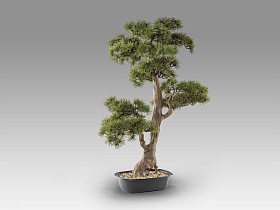 Chokkan - bonsai 83cm Искусственное растение