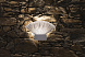 Бра Venus VE06