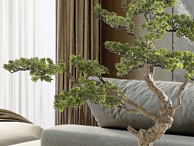 Sokan - bonsai 81cm Искусственное растение из 2 предметов