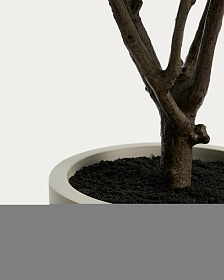 Искусственное дерево Rhus в белом горшке, 185 см