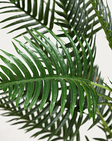 Искусственная пальма бабочка Flower 170 см