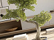 Bankan II bonsai 49cm Искусственное растение