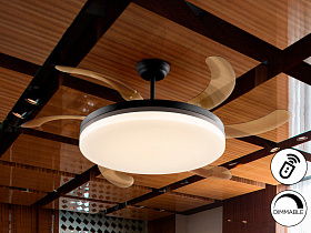 Vento Вентилятор потолочный со светодиодом черный D80/150 DIM