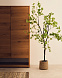 Enkianthus Искусственное дерево с черным горшком 214 см