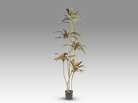 Dracena roja Искусственное растение H220