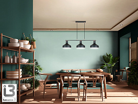 Irias Люстра 3L черный/медный