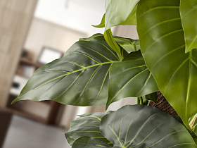 Taro Искусственное растение H150