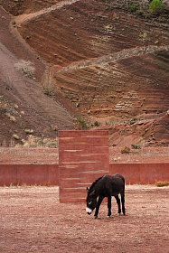 Ковер Colorado clay