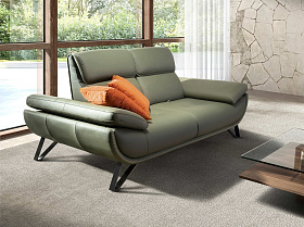 2-местный кожаный диван 6246 оливкового цвета