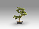 Bankan - bonsai 75cm Искусственное растение 