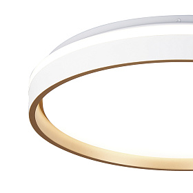 Потолочный светильник VERONA 9026